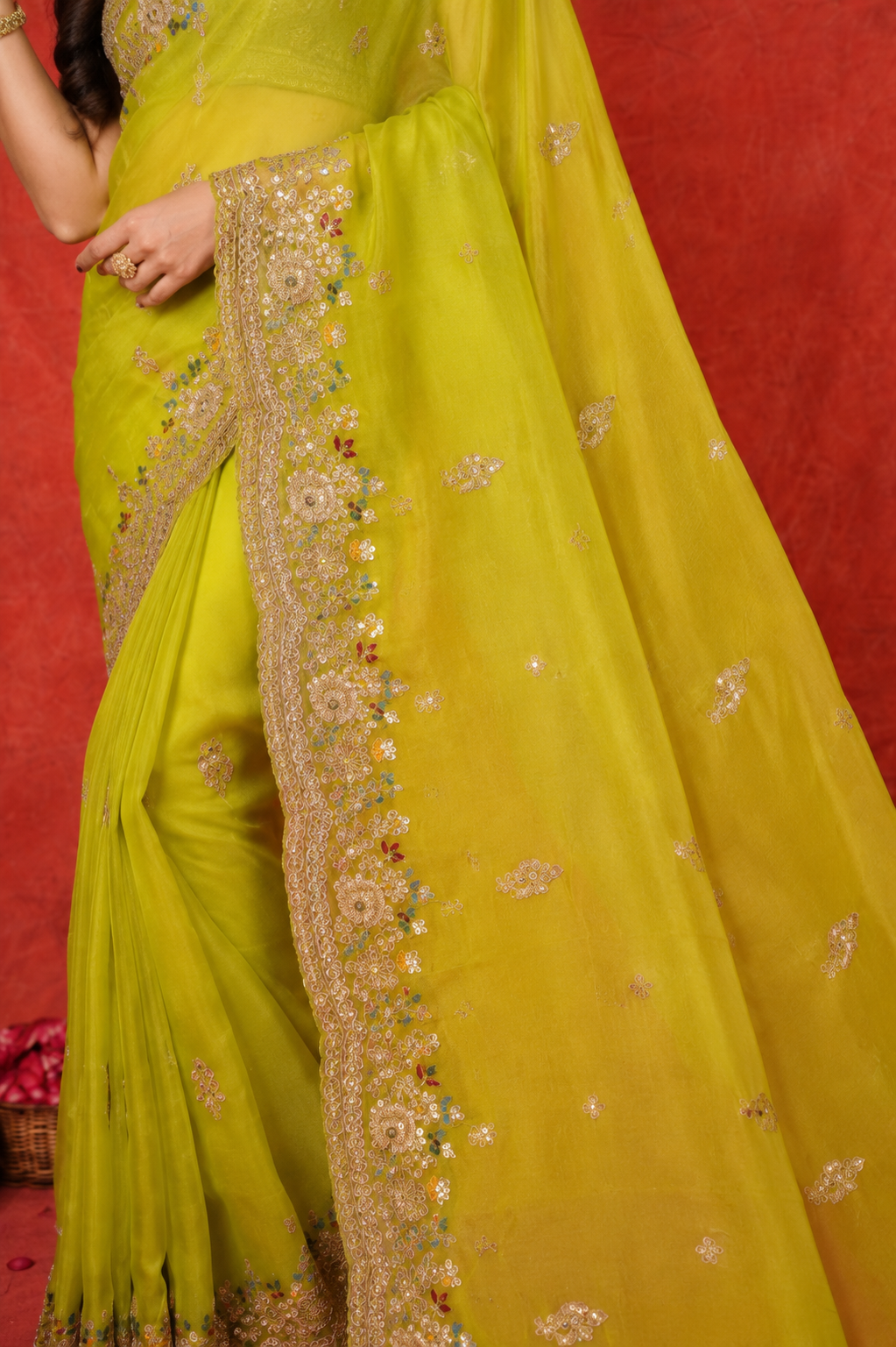 Organza Embroidered Saree with Intricate Zari Border
