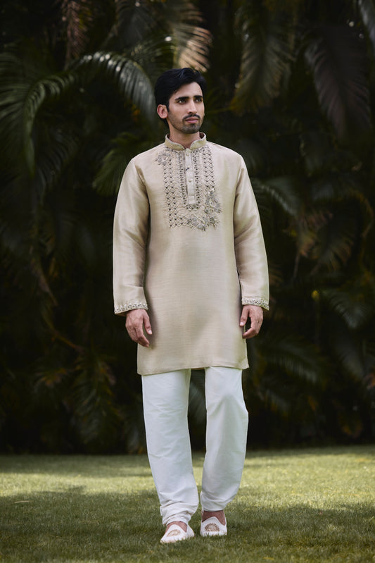 Beige Embroidered Festive Kurta Set