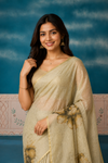 Elegant Organza  Embroidery Saree