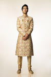 Gold Royal Embroidered Sherwani