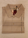 AAIMS Men's Purple Striped Polo T-Shirt