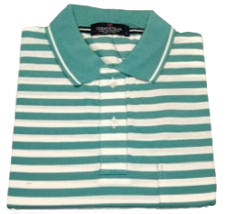 Men’s Aquqa Striped Polo T-Shirt