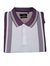 Men’s  Striped Polo T-Shirt