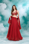 Ruby Red Mirrorwork Lehenga Set